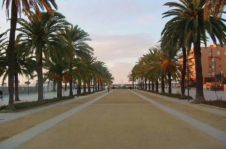 Convento De La Victoria Junto Al Cabildo Con Wifi Y Parking Gratis Apartment Sanlucar de Barrameda Ngoại thất bức ảnh